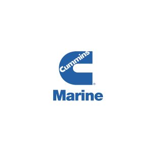 Cummins WEB 10